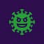 Hanta Virus